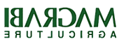 Logo_Magrabi